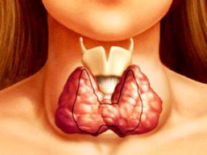 Заболевания щитовидной железы 2